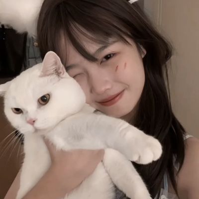 港股保险股下挫 中国人寿绩后跌超8% 创去年11月初以来新低