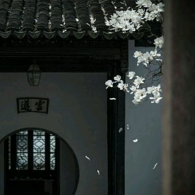 BAT大佬们为啥青睐贵州？
